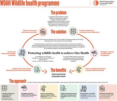 Role of the World Organisation for Animal Health in global wildlife disease surveillance
